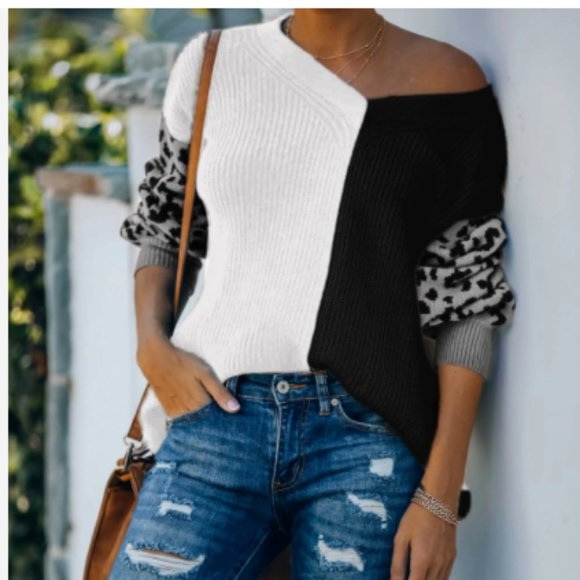 Colorblock Leopard Sleeve Sweater - Picture 1 of 1